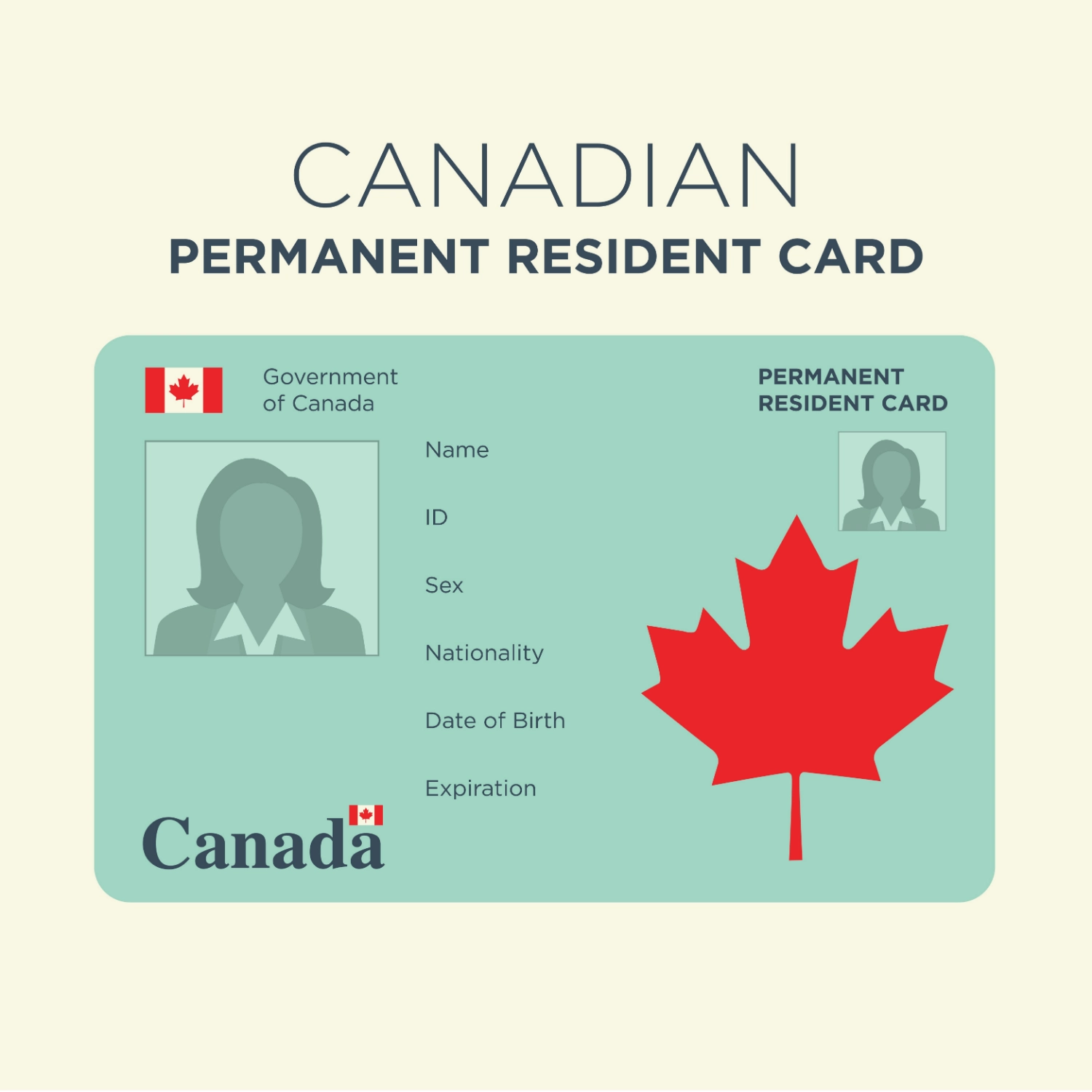 cartoonish representation of a canadian permanent resident card on brown background by my visa source