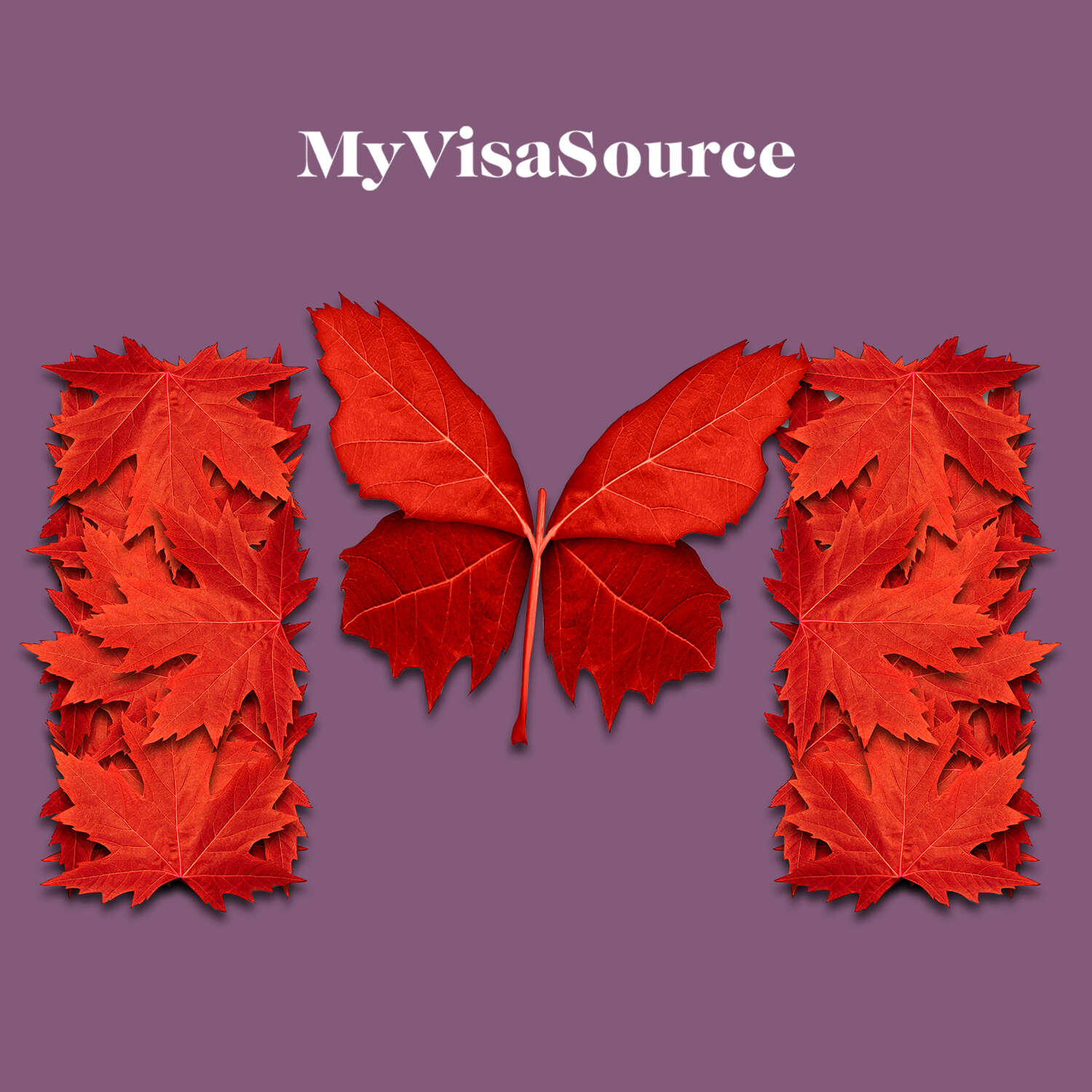 canadian flag made from maple leaves my visa source