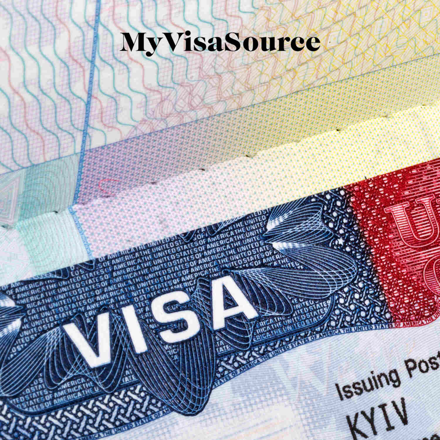 B visa. Рабочая виза. Рабочая виза в США. Виды виз в США. Visa USA.