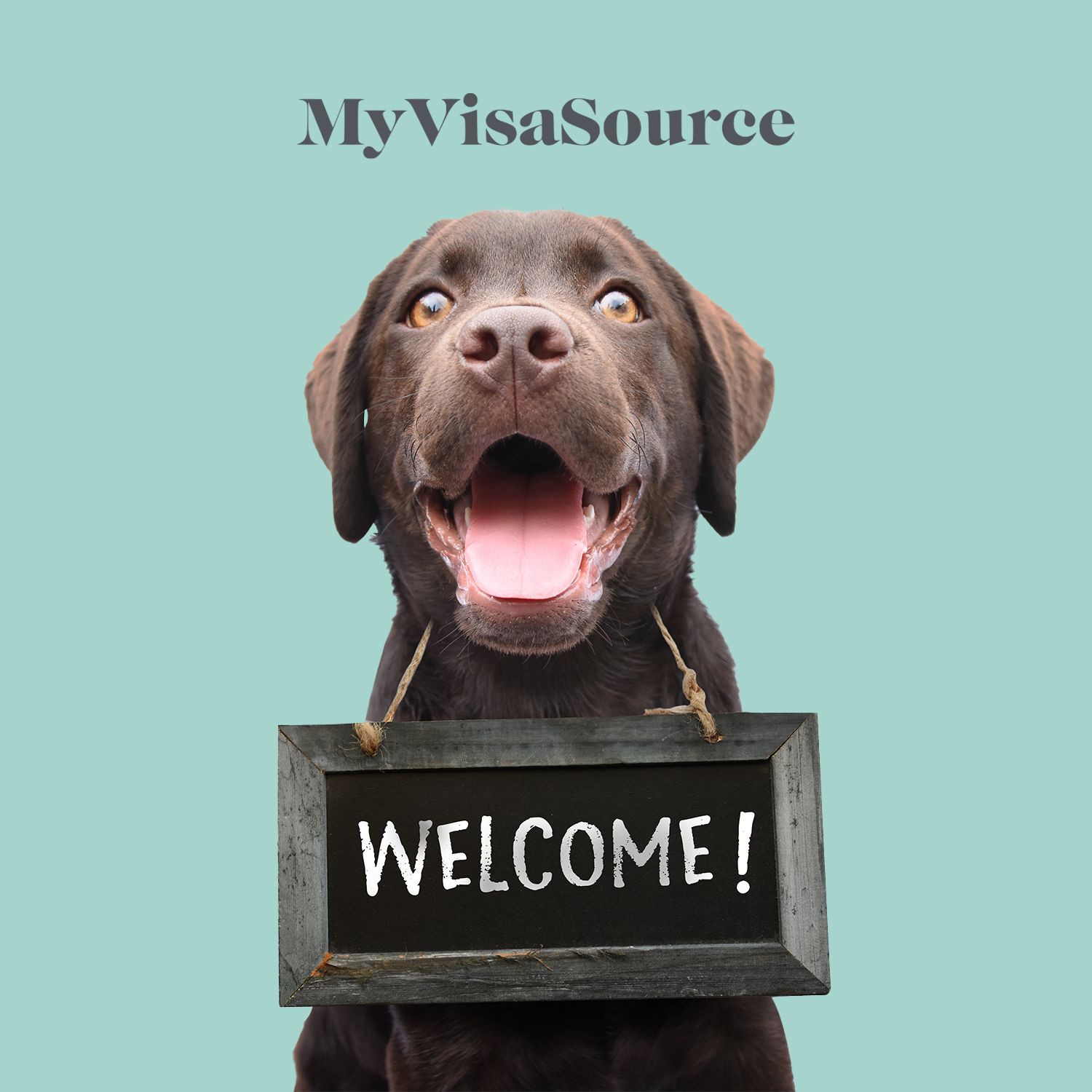 dog with a welcome sign on its neck my visa source