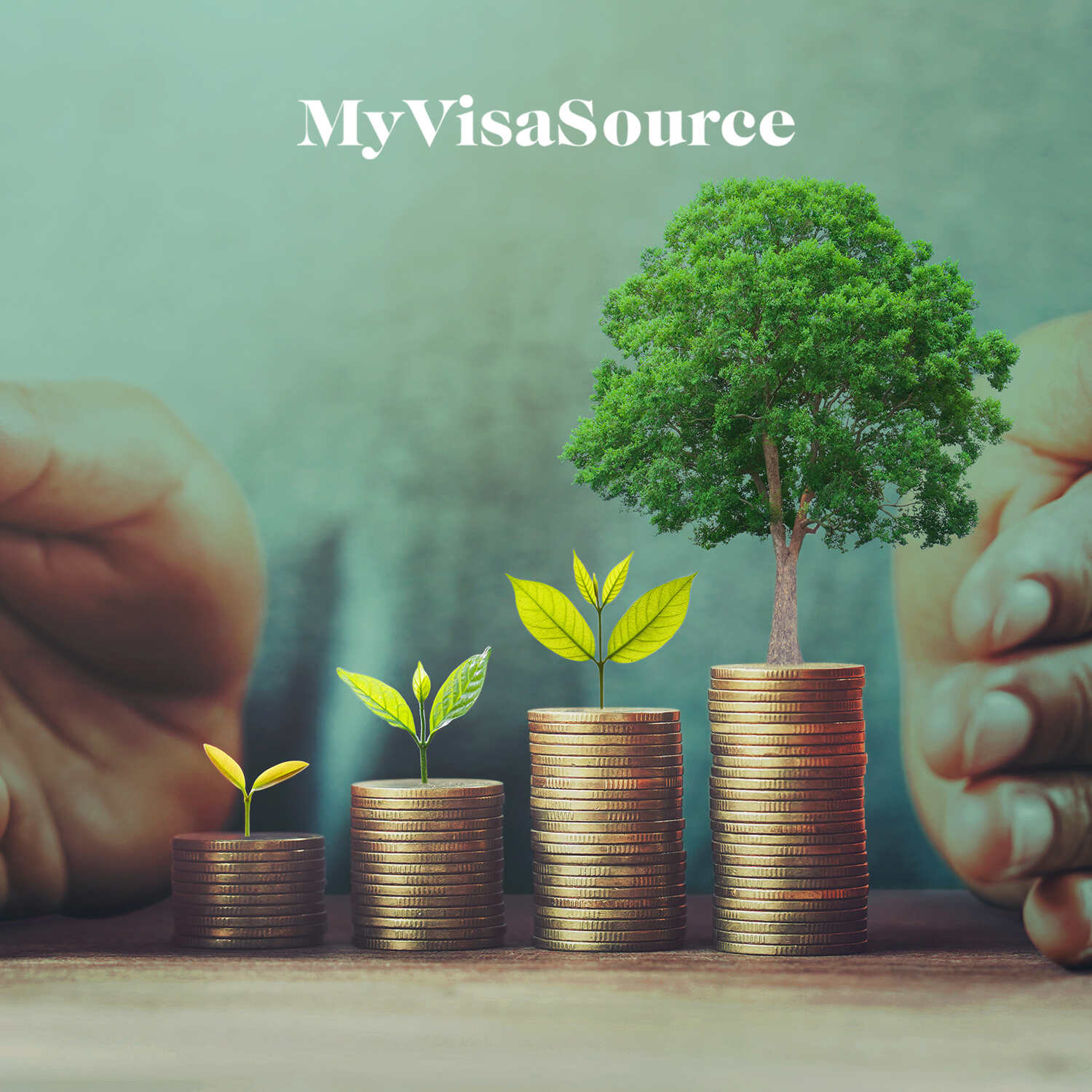 four columns of coins with growing plants on top