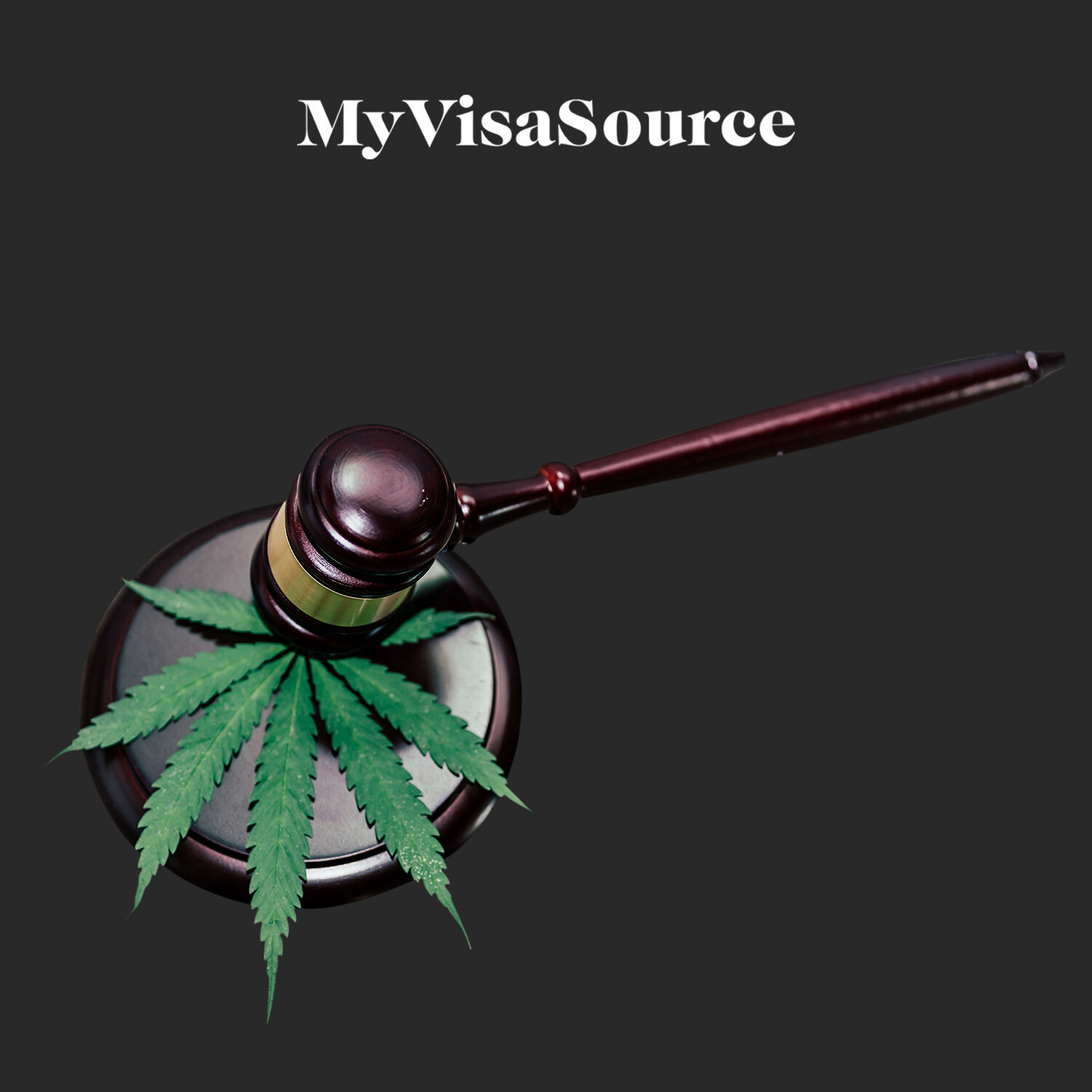 judges gavel on marijuanas leaves