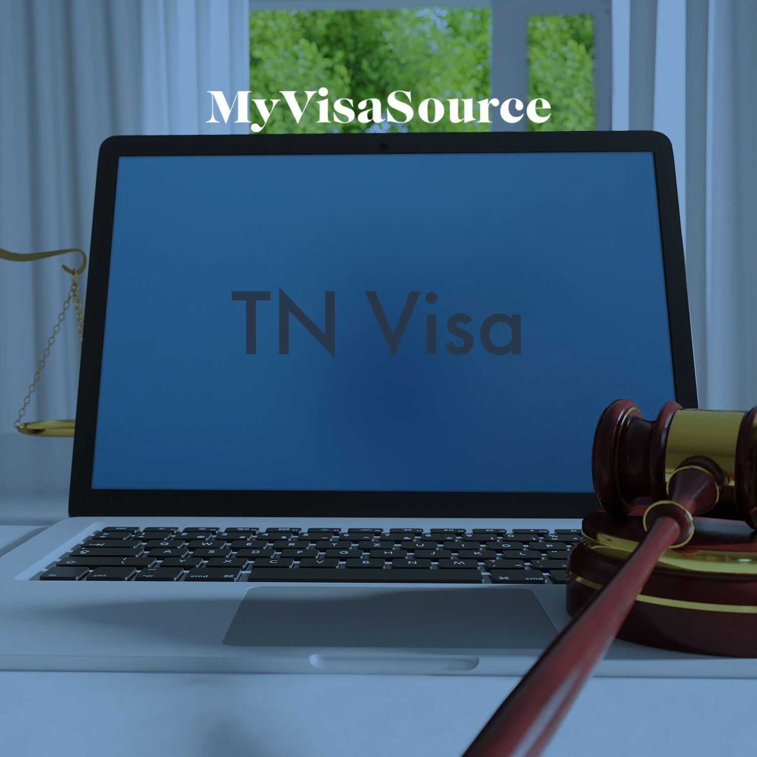 laptop with tn visa written on the screen my visa source