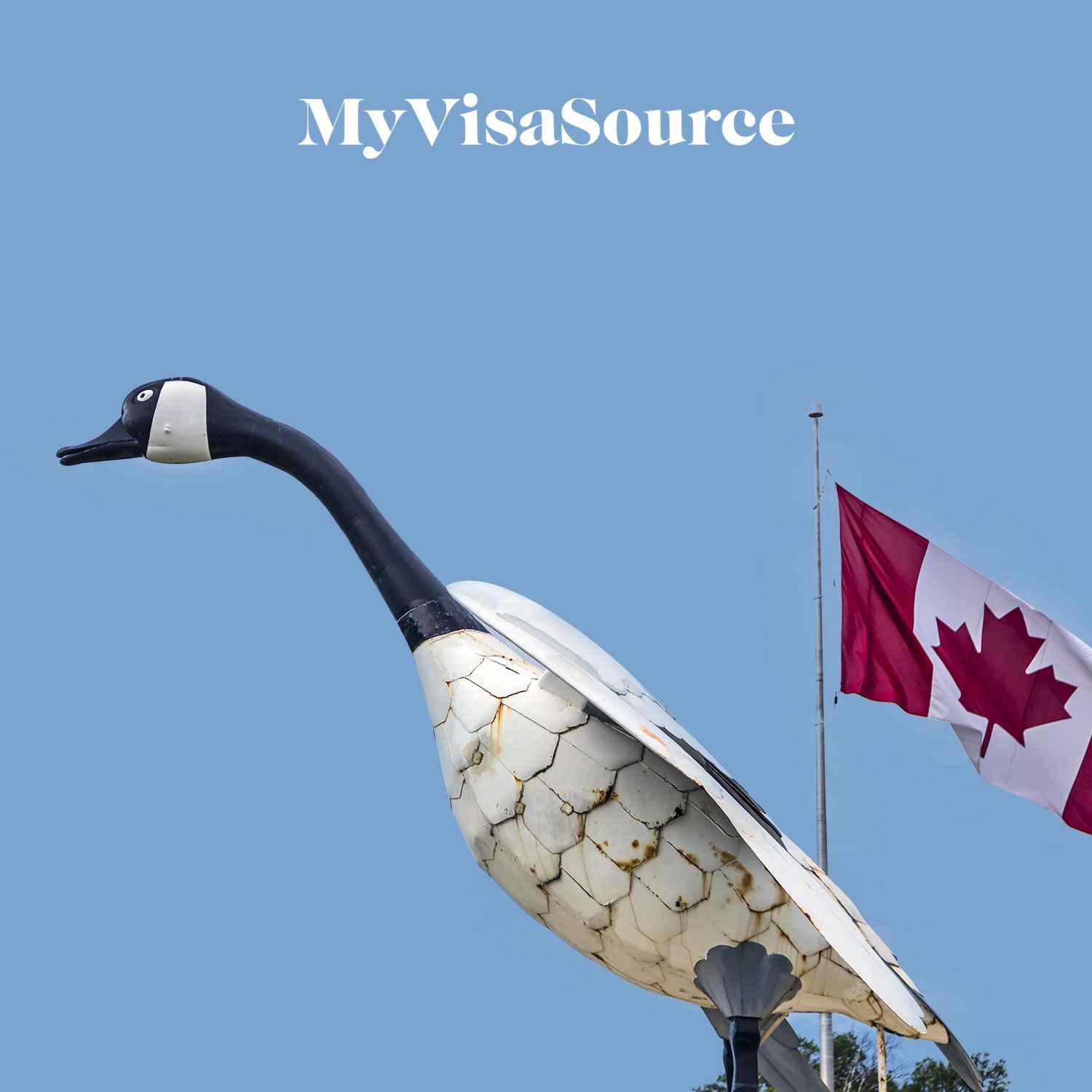 metal goose with canadian flag nearby my visa source