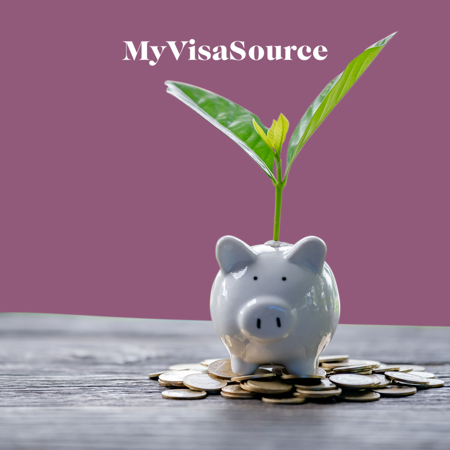 piggybank with a plant on top