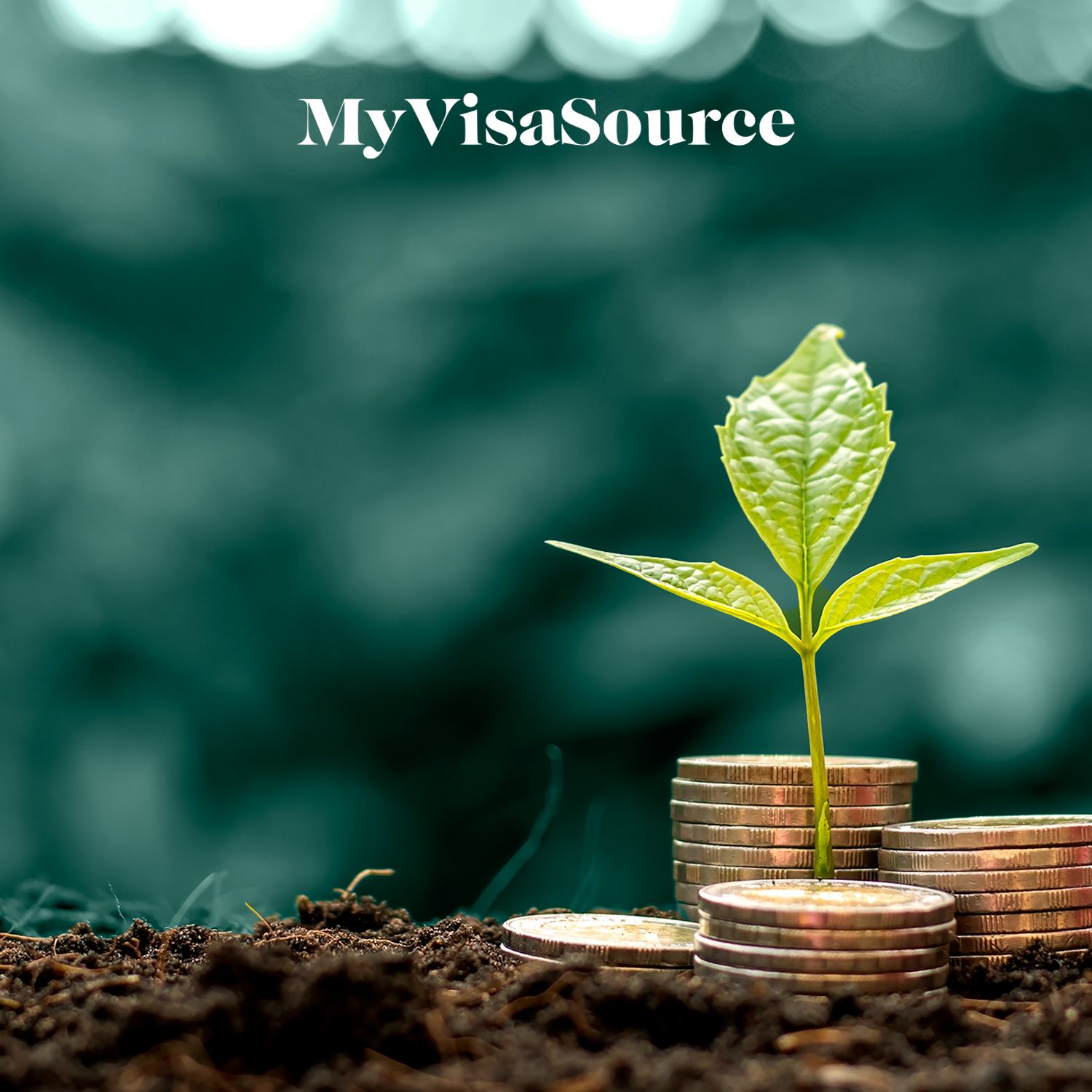 stacks of coins on the ground with some leaves growing on top my visa source