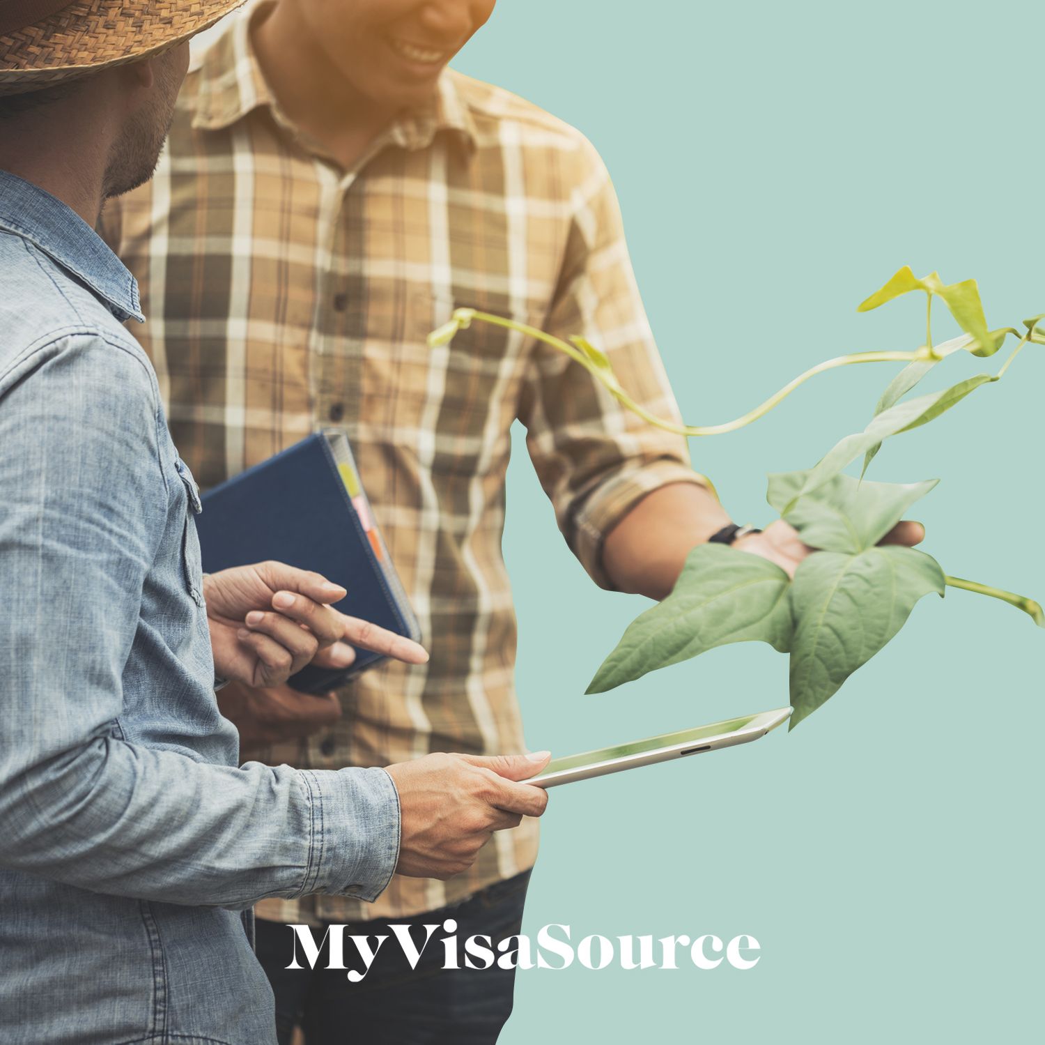 two men engaged in agriculture my visa source