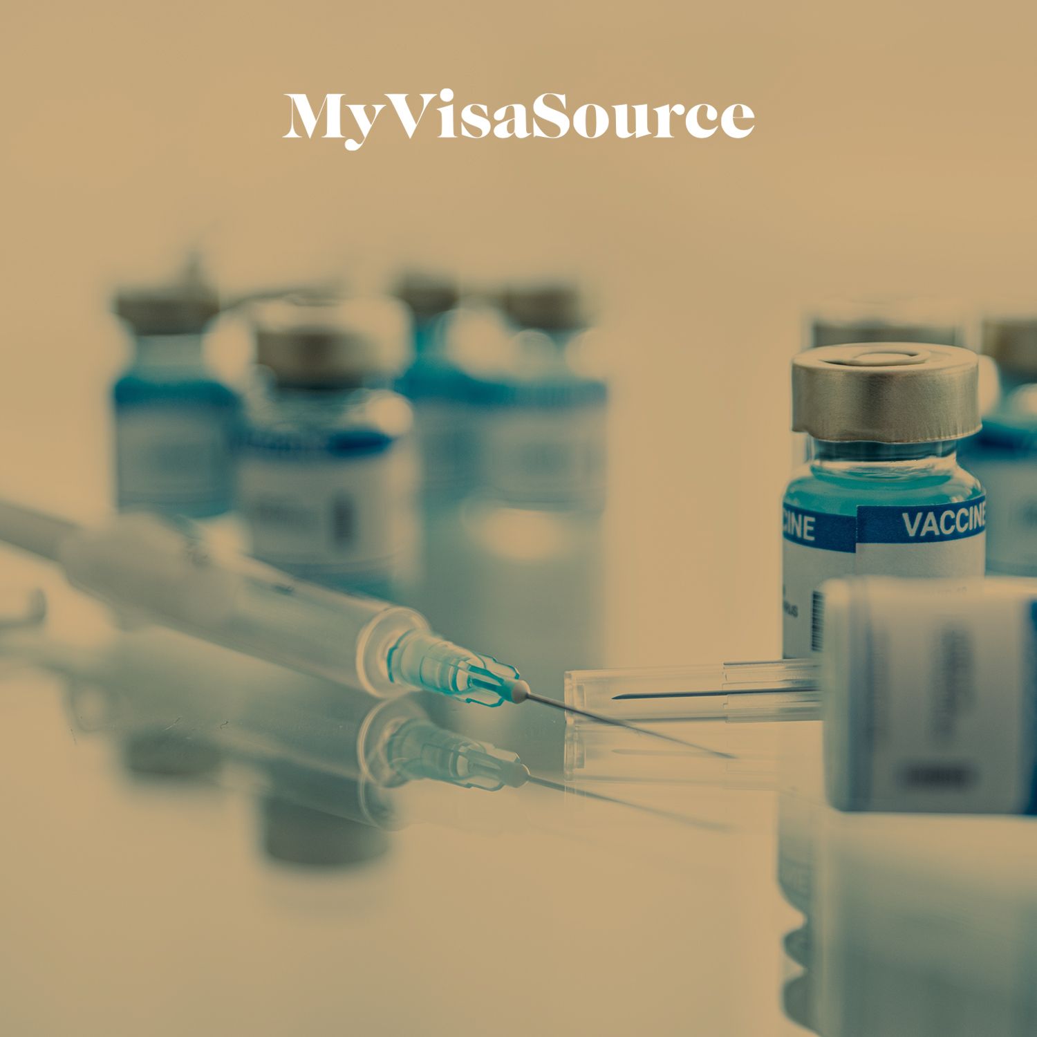 vaccine bottles and a syringe applicator my visa source
