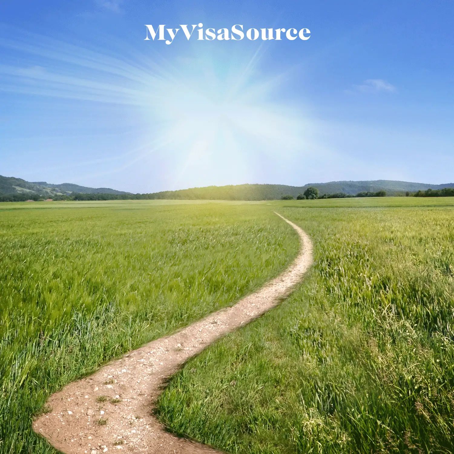 a winding path through lush grass with some hills on the horizon with the sun shining down